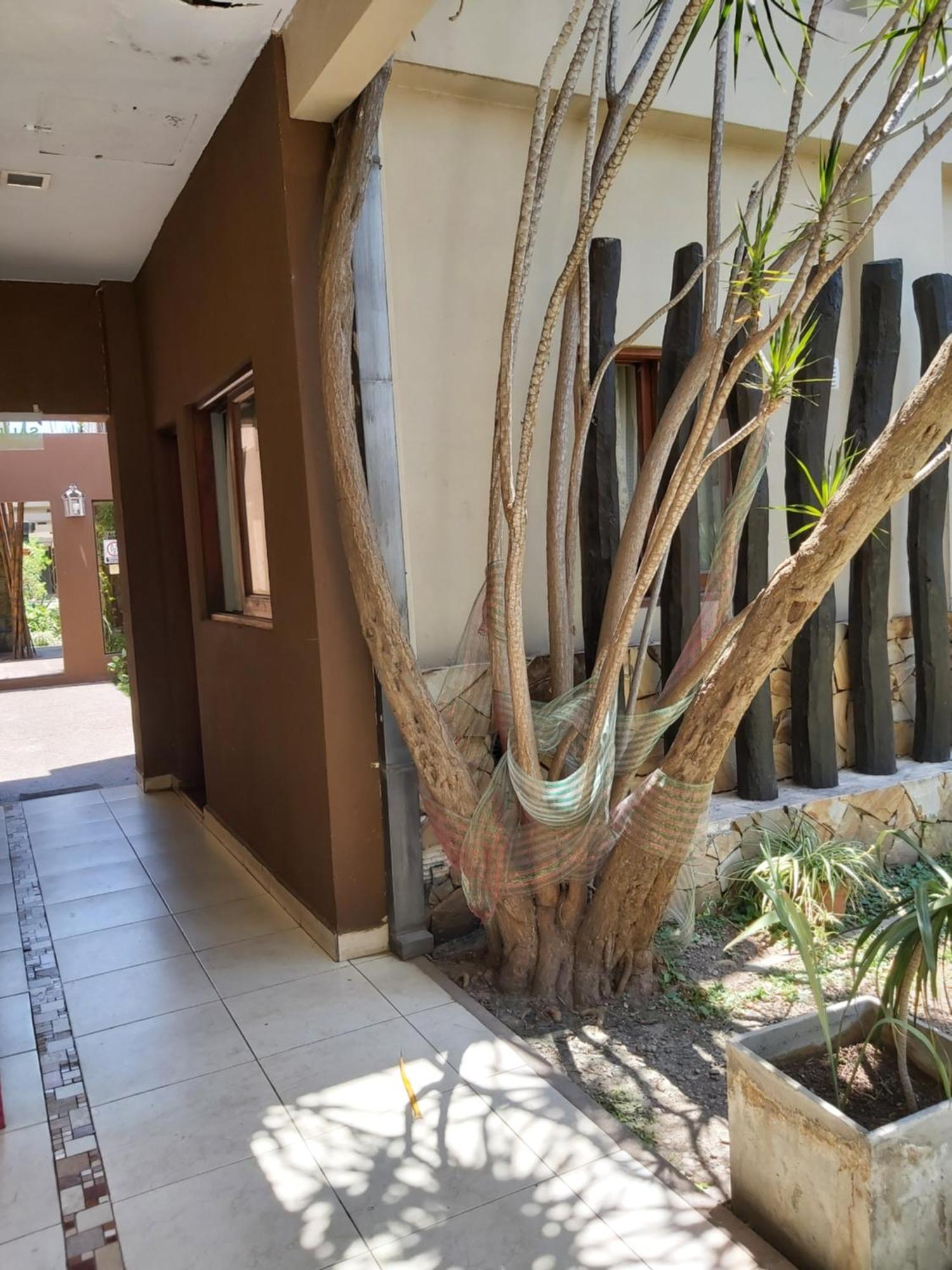 Taruca Apart Salta Room photo